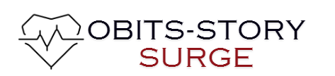 obits-storysurge.com